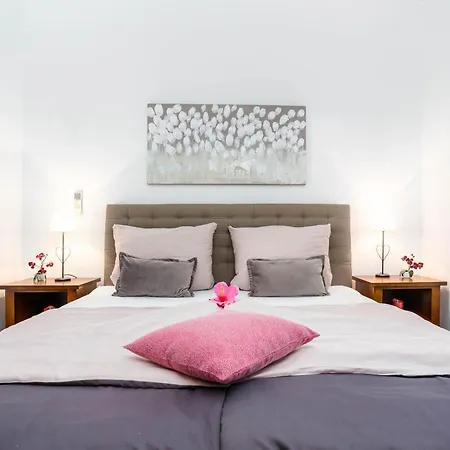 Kamenica Villa Kras
